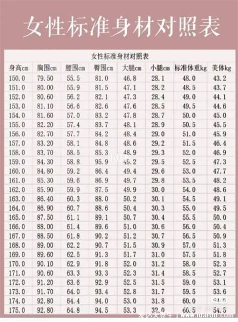 標準三圍|女人三圍標準尺寸單位